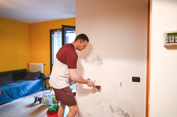 Certified Mold Removal in Orwell, OH